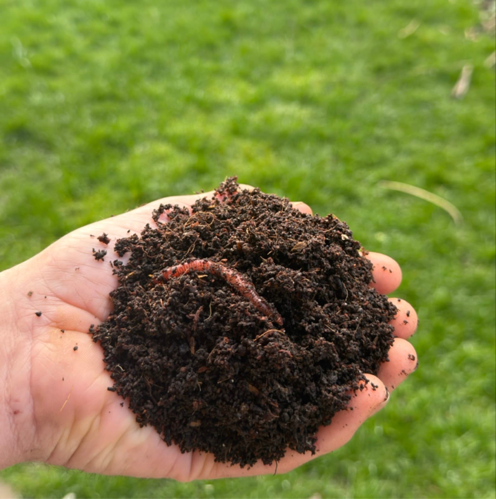 There Are More Living Things in a Handful of Soil Than People on Earth