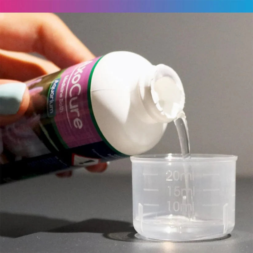 NT Labs Aquarium AxoCure 100ml