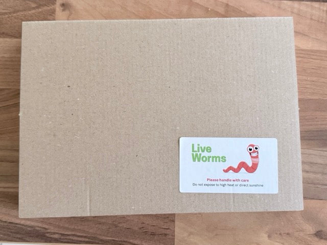 Live Axolotl Food | UK-Grown Dendrobaena Worms | Wormi Vermi